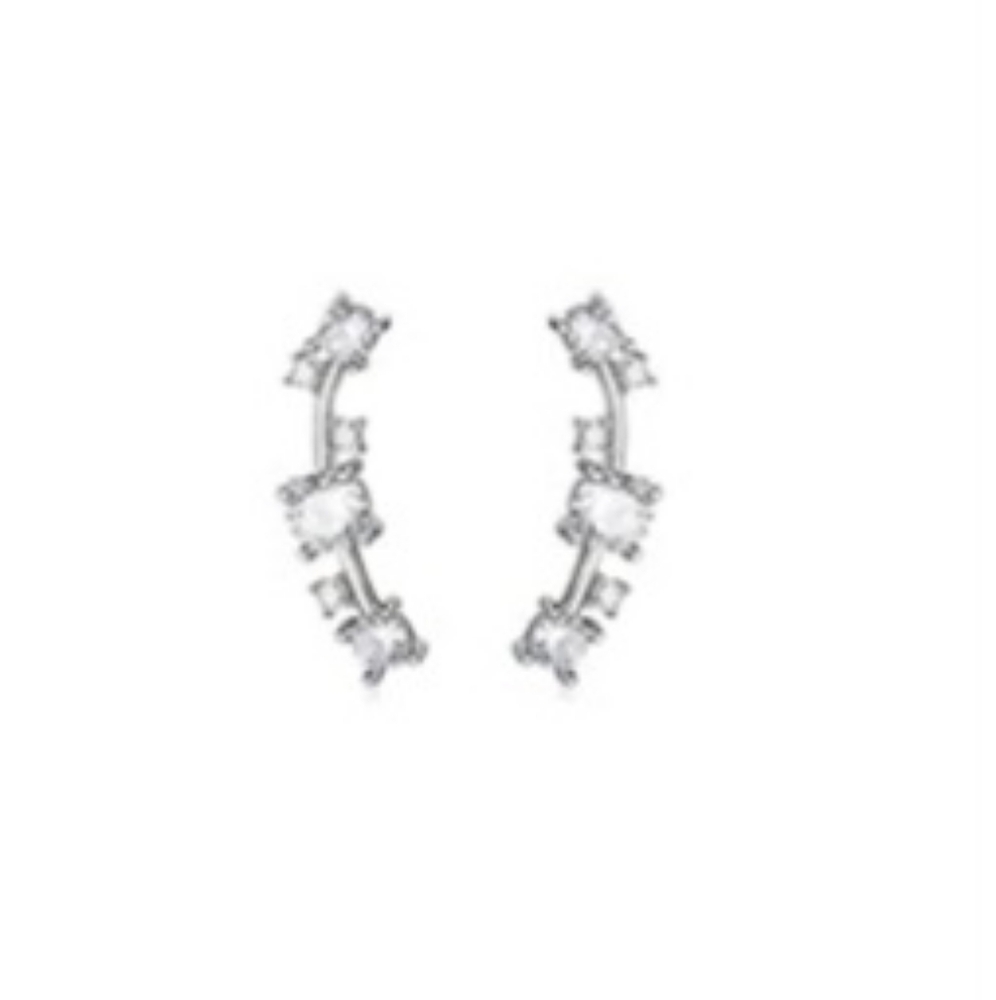 NWOT Cartliage Earrings